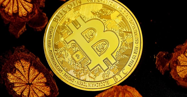 coinbases surge navigating cryptocurrency crypto exchange