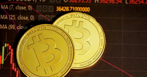 create eyecatching infographics with trading platform