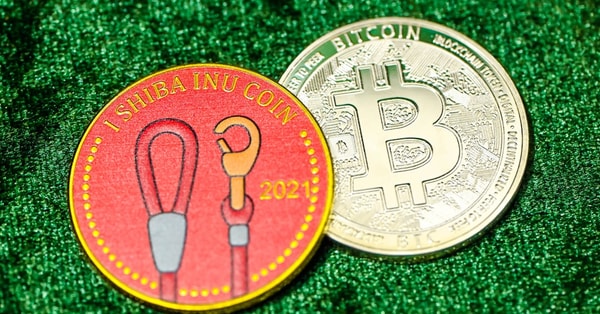 beginners guide investing reits decentralized network