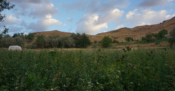 struggles west bank farmers digital innovation