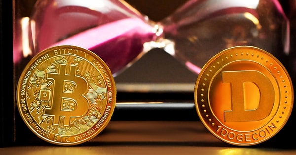 grow your ecofriendly garden technology