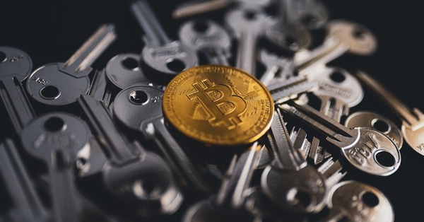 remembering david legacy journalism market analysis