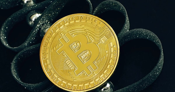 tips crafting your perfect crypto adoption