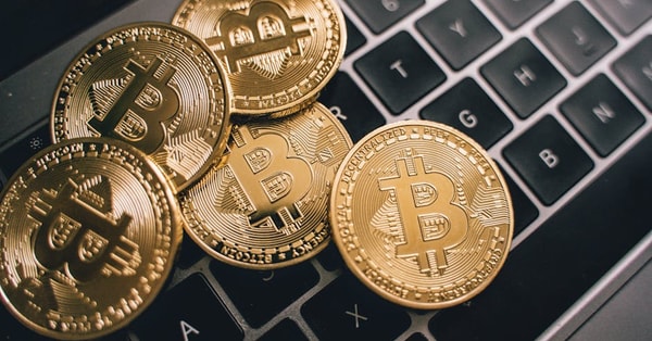 fraud scammer exploited hmrcs digital innovation