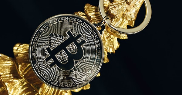 drops motion limit repayments investment strategy