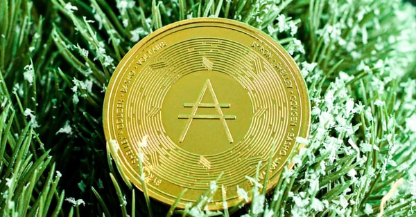 weaving greener future trends digital innovation