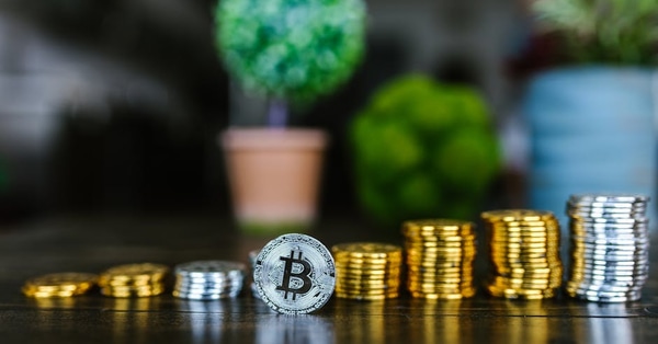 bitcoins future insights after investment strategy