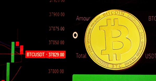 whats stake bankmanfrieds appeal market analysis