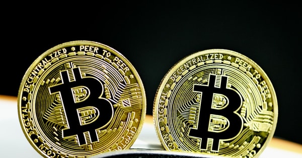 zohran mamdani triumphs mayoral trading platform