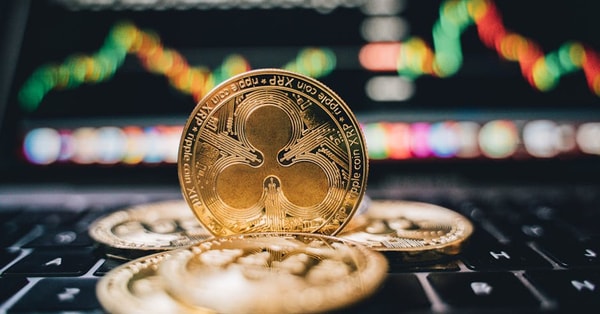 zohran mamdanis victory politics crypto exchange