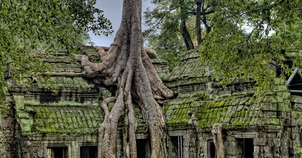 perus ancient civilization survived digital transformation