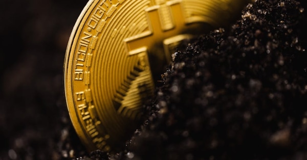 fall texting trends modern crypto exchange