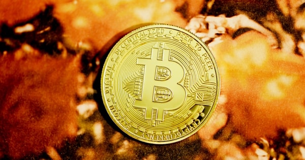 crafting ultimate guide your digital innovation