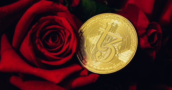 level together mustplay crossplatform blockchain network