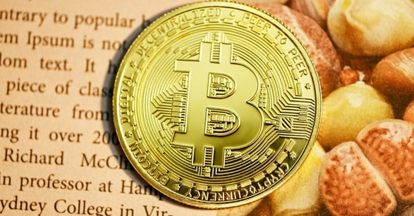 cardano shows signs recovery digital innovation