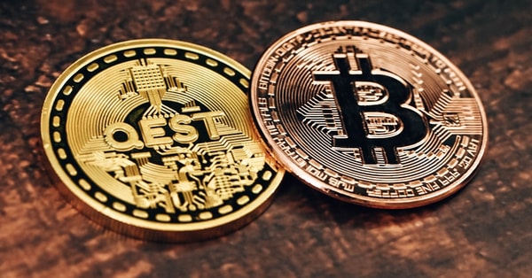 cardano shows signs recovery digital transformation