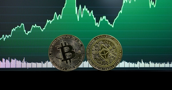 shiba selloff surging dogecoin blockchain network