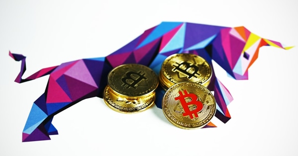 shiba selloff surging dogecoin crypto exchange