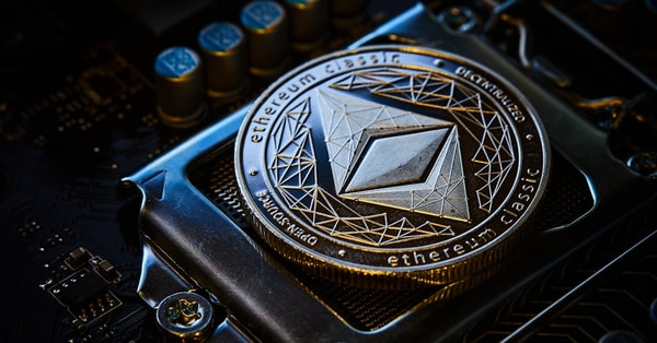 shiba selloff surging dogecoin digital transformation