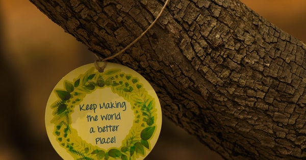 taming beast steps handle market analysis