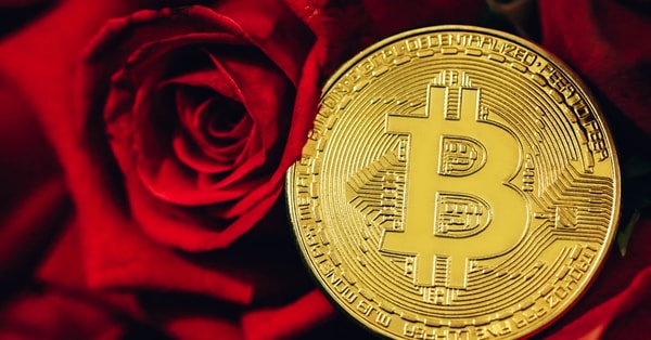 wall street declines losses wallet technology