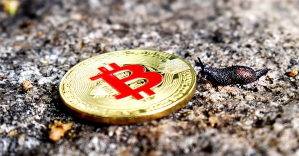 blackrocks bold blockchain prediction wallet technology