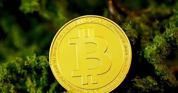 insights from analyst forecasted market analysis