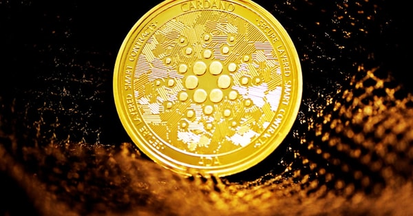 rockstar games faces union trading platform