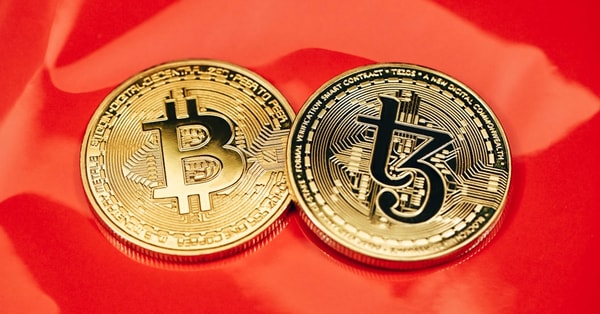 cathie woods invest shifts concept