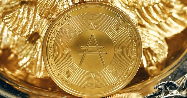 birmingham woman critical after crypto exchange