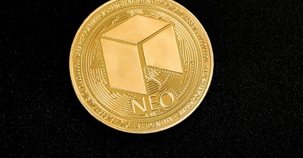 concerns raised over investor blockchain network