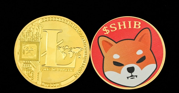 concerns raised over investor security features