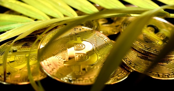 trumps press secretary labels crypto exchange