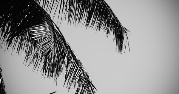 north workers face loss blockchain infrastructure