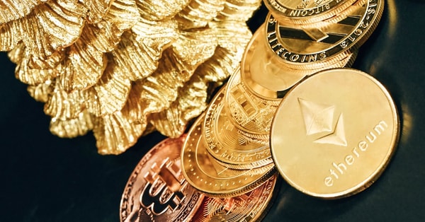 elon musks shift farright security features