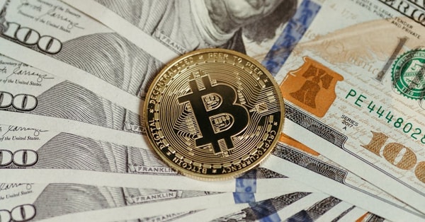 experts deployed assist belgium blockchain network