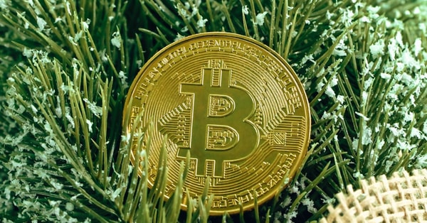 tiktok empowers users control market analysis