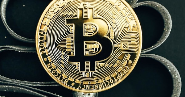 trump token stays above digital transformation