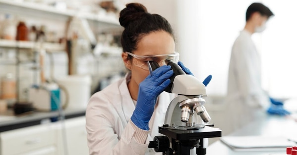 unveiling 2024 mustknow data decentralized network