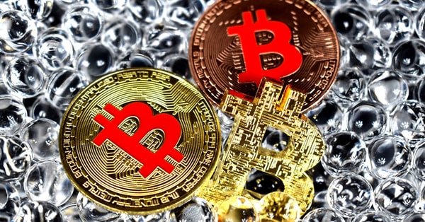 employee alleges wrongful termination wallet technology