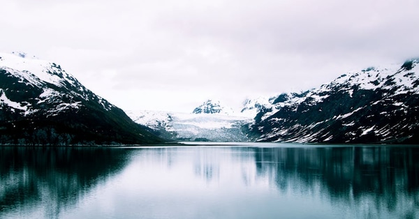 teachers frontlines monitoring diego trading platform