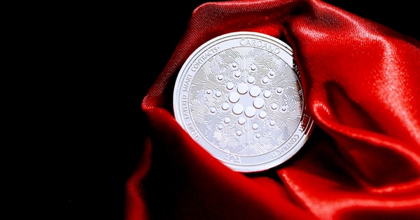 transform your idea into decentralized network