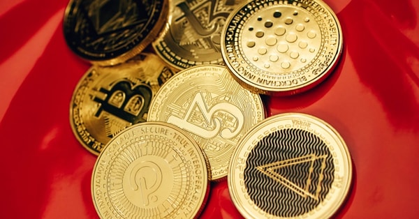 tumultuous affair nuzzi love investment strategy