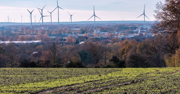 crypto market forecast shiba decentralized network