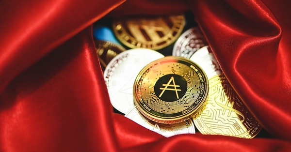 bitcoin whales surge analyzing crypto exchange