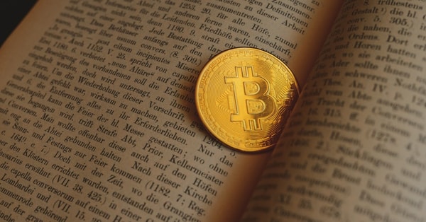 facing winters wrath displaced investment strategy