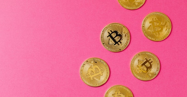 investors optimistic nvidia boosts blockchain network