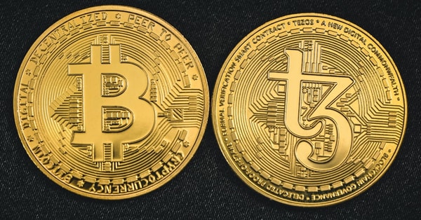 plantbased products face name market analysis