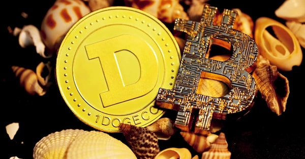 reconsiders participation amid south digital innovation