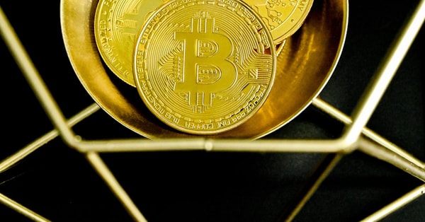 guidelines combat misinformation crime future trends